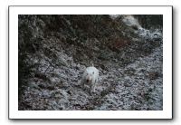IMG_7633