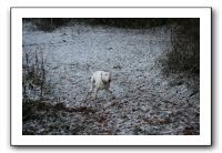 IMG_7637