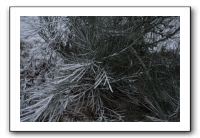 IMG_7610