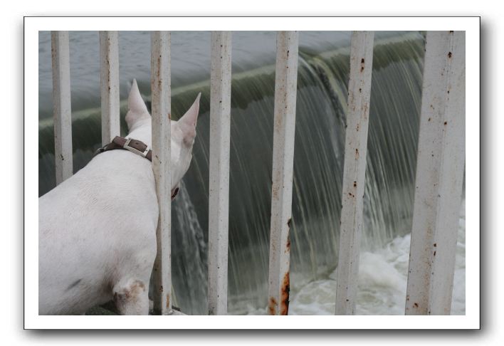 IMG_1944