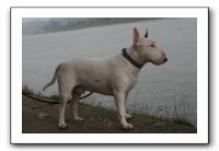IMG_1883