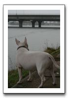 IMG_1890