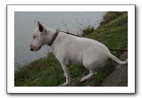 IMG_1892