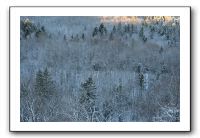 IMG_4846