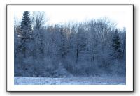 IMG_4923
