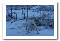 IMG_4928
