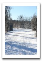 IMG_4953
