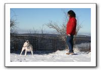 IMG_4957