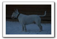 IMG_4823