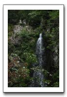 IMG_0361