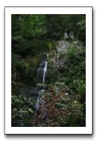 IMG_0362