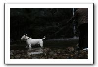 IMG_0393