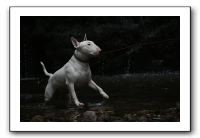 IMG_0394