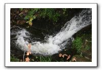 IMG_0430