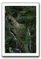 IMG_0349