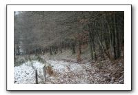 IMG_7831