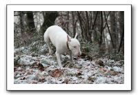 IMG_7868