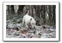 IMG_7869