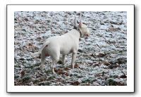 IMG_7890