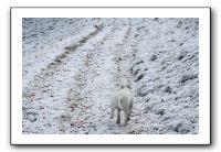 IMG_7902