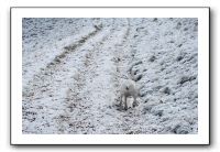 IMG_7903