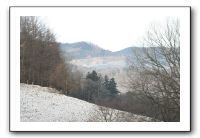 IMG_7838
