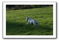 IMG_1991