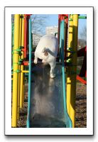 IMG_2014