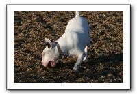 IMG_2025