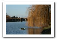 IMG_2037