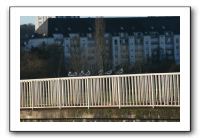 IMG_1975