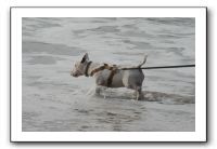 IMG_2669