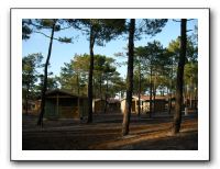 SANY0473
