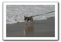 IMG_2682