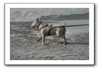 IMG_2686