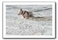 IMG_2701