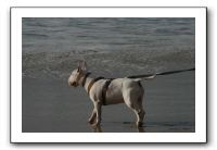 IMG_2710