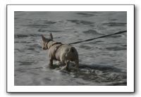 IMG_2719