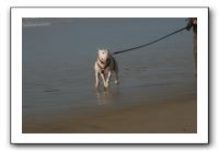 IMG_2728