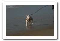 IMG_2729