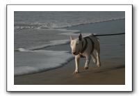 IMG_2732