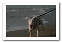 IMG_2733