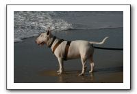 IMG_2736
