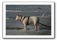 IMG_2740