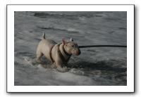 IMG_2742
