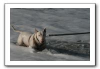 IMG_2743
