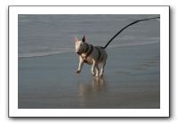 IMG_2753