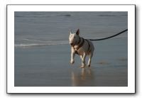 IMG_2754