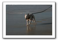 IMG_2756