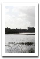 IMG_2631